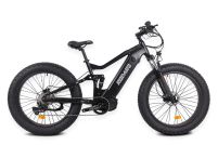 Outrider 1000W