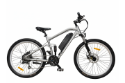 Savage Gris 27,5